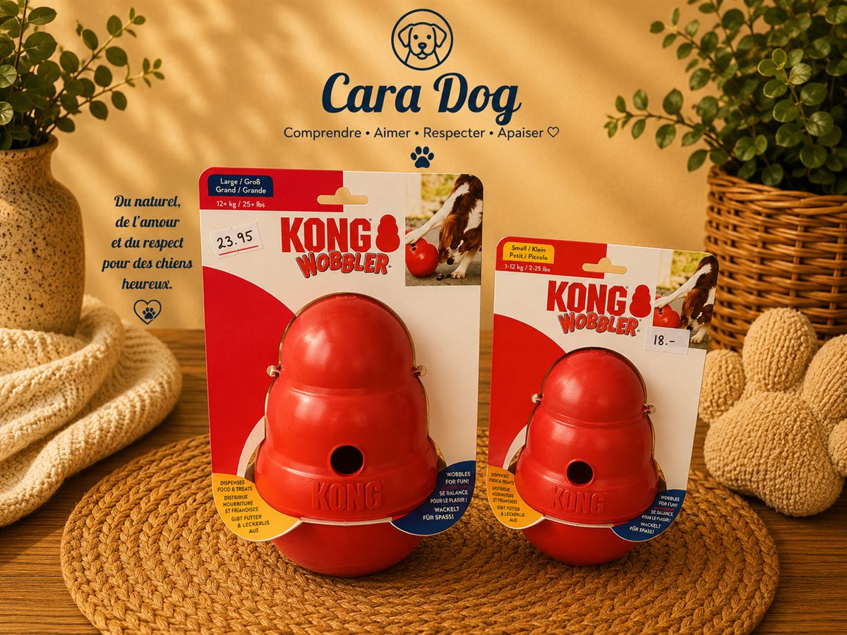 KONG Wobbler