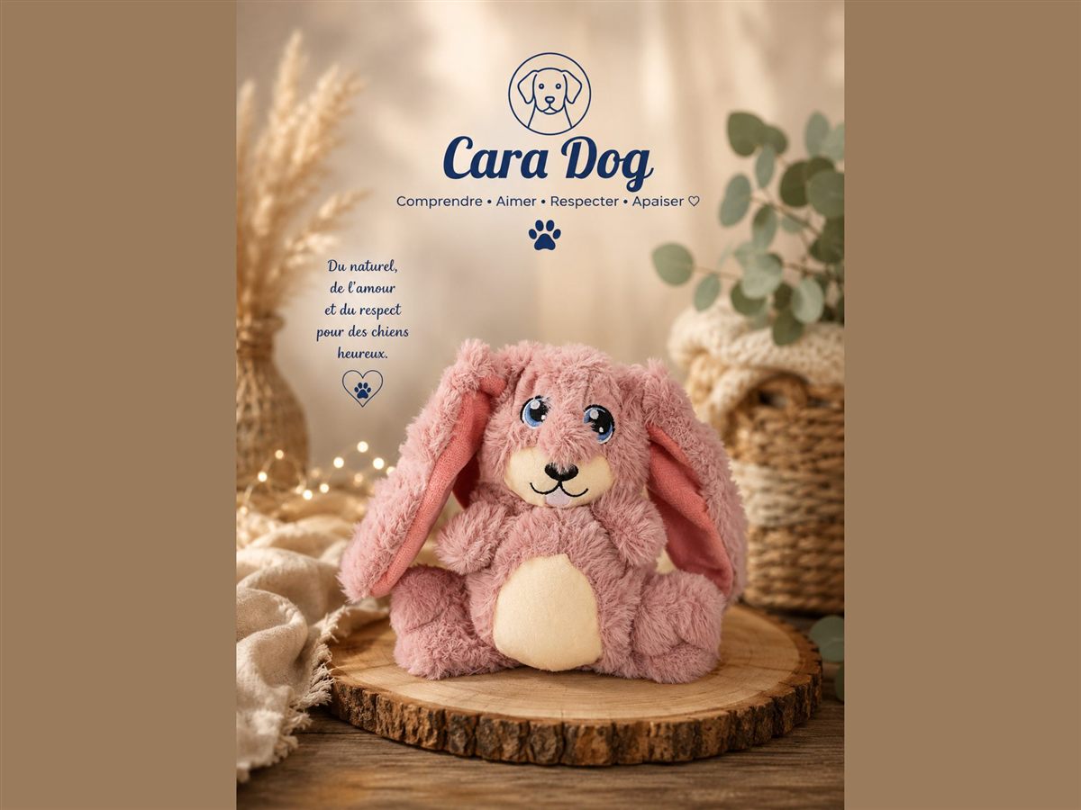 Peluche lapin