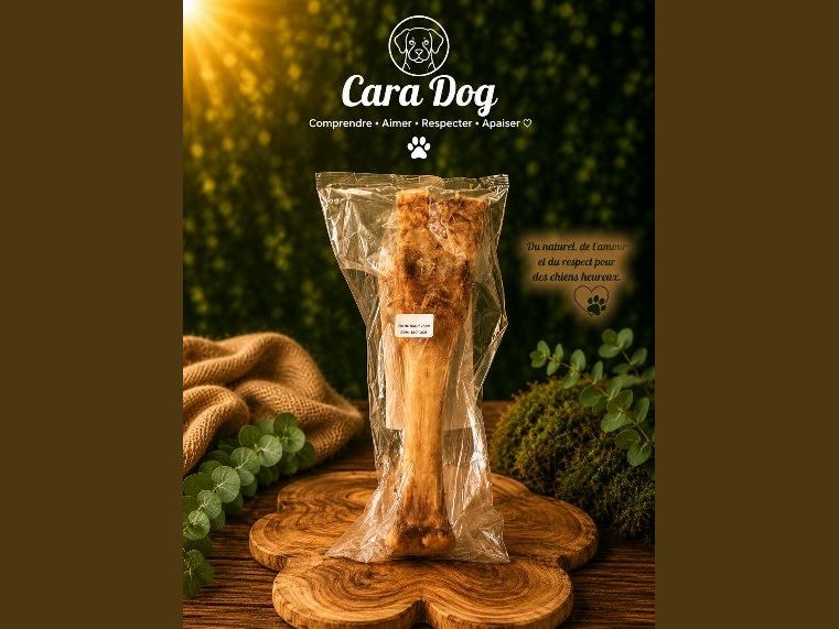 Os de bœuf